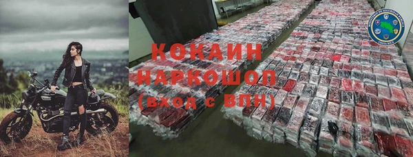 не бодяженный Бородино