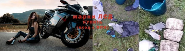 не бодяженный Бородино