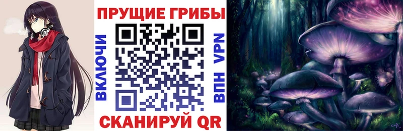 Купить Орлов Псилоцибиновые грибы Psilocybe